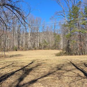 Photo #1 of THOROUGHFARE RD, CULPEPER, VA 3.7 acres
