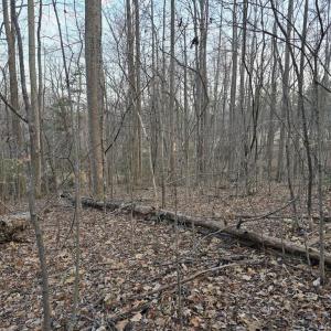 Photo #10 of THOROUGHFARE RD, CULPEPER, VA 3.7 acres
