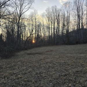 Photo #2 of THOROUGHFARE RD, CULPEPER, VA 3.7 acres