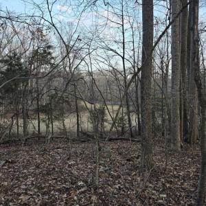 Photo #11 of THOROUGHFARE RD, CULPEPER, VA 3.7 acres