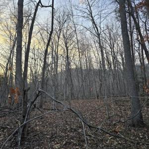 Photo #13 of THOROUGHFARE RD, CULPEPER, VA 3.7 acres