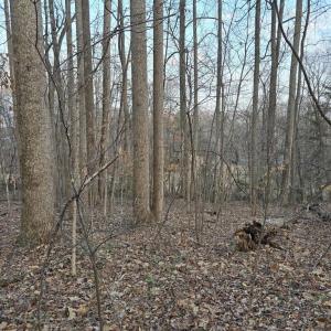 Photo #14 of THOROUGHFARE RD, CULPEPER, VA 3.7 acres