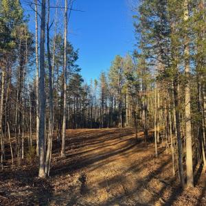 Photo #4 of 541 EQUESTRIAN LANDING TRL, BUMPASS, VA 5.1 acres