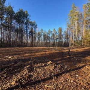 Photo #5 of 541 EQUESTRIAN LANDING TRL, BUMPASS, VA 5.1 acres