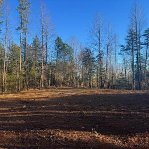 Photo #6 of 541 EQUESTRIAN LANDING TRL, BUMPASS, VA 5.1 acres