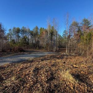 Photo #8 of 541 EQUESTRIAN LANDING TRL, BUMPASS, VA 5.1 acres