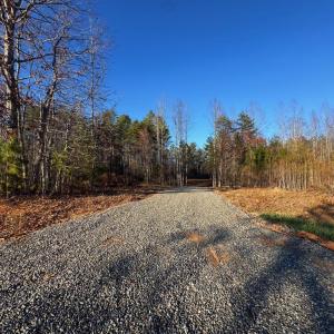 Photo #9 of 541 EQUESTRIAN LANDING TRL, BUMPASS, VA 5.1 acres