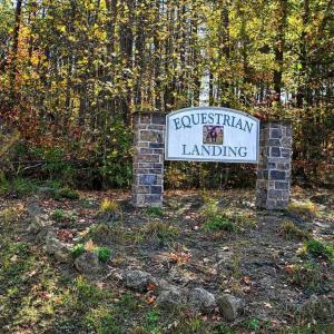 Photo #2 of 541 EQUESTRIAN LANDING TRL, BUMPASS, VA 5.1 acres