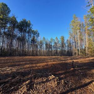 Photo #10 of 541 EQUESTRIAN LANDING TRL, BUMPASS, VA 5.1 acres