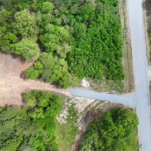 Photo #3 of 541 EQUESTRIAN LANDING TRL, BUMPASS, VA 5.1 acres