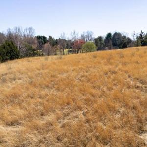 Photo #17 of LIBERTY LN, MADISON, VA 3.0 acres