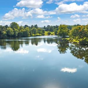 Photo #20 of LIBERTY LN, MADISON, VA 3.0 acres