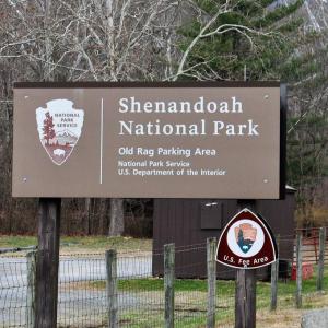 Photo #13 of PINE HILL, SPERRYVILLE, VA 7.9 acres