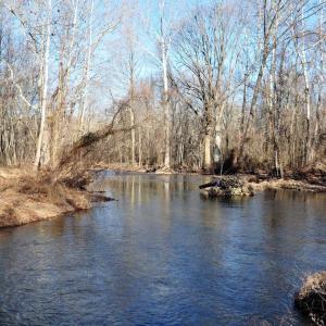 Photo #7 of PINE HILL, SPERRYVILLE, VA 7.9 acres