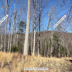 Photo #10 of PINE HILL, SPERRYVILLE, VA 7.9 acres