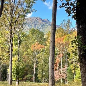 Photo #1 of PINE HILL, SPERRYVILLE, VA 7.9 acres