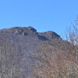 Photo #3 of PINE HILL, SPERRYVILLE, VA 7.9 acres