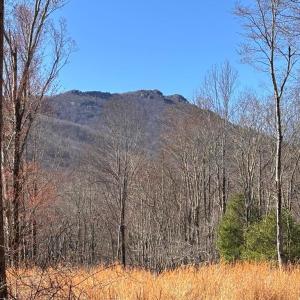 Photo #2 of PINE HILL, SPERRYVILLE, VA 7.9 acres