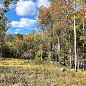 Photo #5 of PINE HILL, SPERRYVILLE, VA 7.9 acres