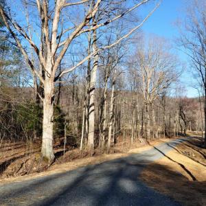 Photo #12 of PINE HILL, SPERRYVILLE, VA 7.9 acres