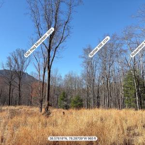 Photo #8 of PINE HILL, SPERRYVILLE, VA 7.9 acres