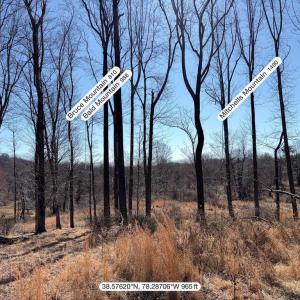 Photo #9 of PINE HILL, SPERRYVILLE, VA 7.9 acres