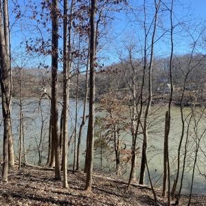 View of lake