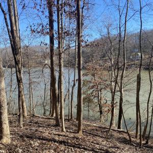 Lakefront Lot 29 Lake View Pointe