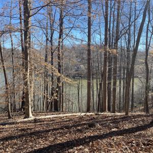 downslope perfect for a walkout lower