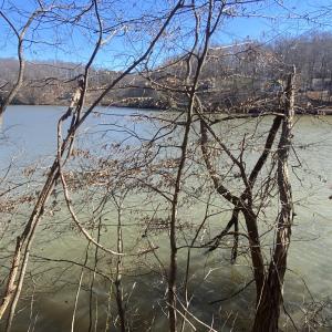 Lot 29 Hardwood lakefront