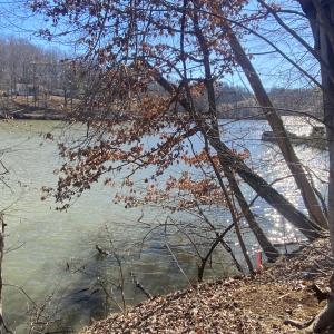 view from shoreline800 contour marked