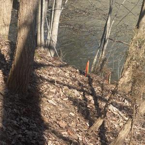 Waterfront newly surveyed 1-023