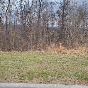 OMP Sect 1 Lot 2A.2