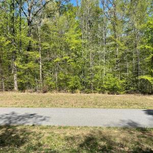 Photo #1 of NEW DAWN CT, BUMPASS, VA 0.9 acres