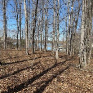 Photo #1 of NEW DAWN CT, BUMPASS, VA 0.9 acres