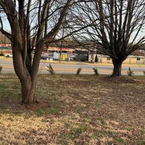 Photo #5 of WEST, CULPEPER, VA 0.3 acres