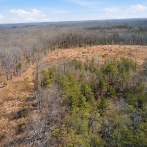 Photo #9 of 402 OAK GROVE DR, MINERAL, VA 35.8 acres