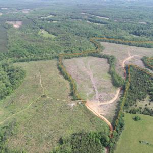 Photo #1 of WEST RIVER ROAD (RT. 6) (TRACT: JR C.B. MOON-1), SCOTTSVILLE, VA 116.0 acres