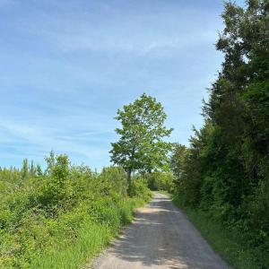 Photo #8 of WEST RIVER ROAD (RT. 6) (TRACT: JR C.B. MOON-1), SCOTTSVILLE, VA 116.0 acres