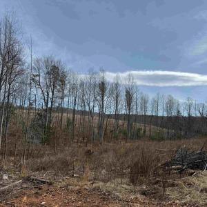Photo #13 of WEST RIVER ROAD (RT. 6) (TRACT: JR C.B. MOON-1), SCOTTSVILLE, VA 116.0 acres