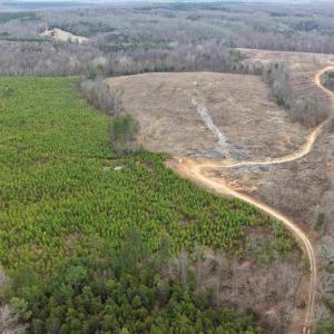 Photo #19 of WEST RIVER ROAD (RT. 6) (TRACT: JR C.B. MOON-1), SCOTTSVILLE, VA 116.0 acres