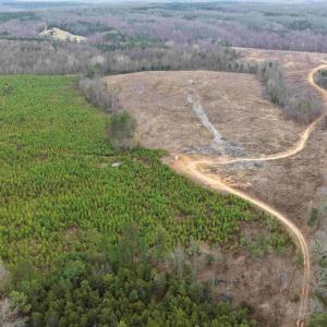 Photo #2 of WEST RIVER ROAD (RT. 6) (TRACT: JR C.B. MOON-1), SCOTTSVILLE, VA 116.0 acres