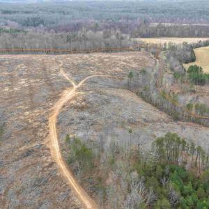 Photo #4 of WEST RIVER ROAD (RT. 6) (TRACT: JR C.B. MOON-1), SCOTTSVILLE, VA 116.0 acres
