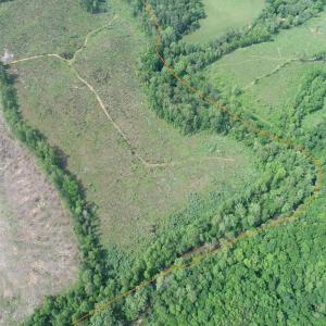 Photo #6 of WEST RIVER ROAD (RT. 6) (TRACT: JR C.B. MOON-1), SCOTTSVILLE, VA 116.0 acres