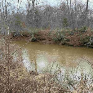 Photo #7 of WEST RIVER ROAD (RT. 6) (TRACT: JR C.B. MOON-1), SCOTTSVILLE, VA 116.0 acres
