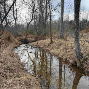 Photo #11 of WEST RIVER ROAD (RT. 6) (TRACT: JR C.B. MOON-1), SCOTTSVILLE, VA 116.0 acres