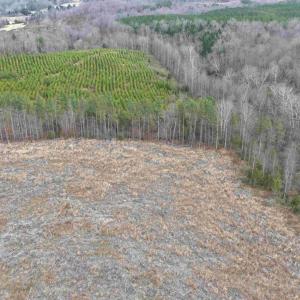 Photo #15 of WEST RIVER ROAD (RT. 6) (TRACT: JR C.B. MOON-1), SCOTTSVILLE, VA 116.0 acres
