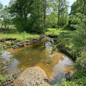 Photo #17 of WEST RIVER ROAD (RT. 6) (TRACT: JR C.B. MOON-1), SCOTTSVILLE, VA 116.0 acres