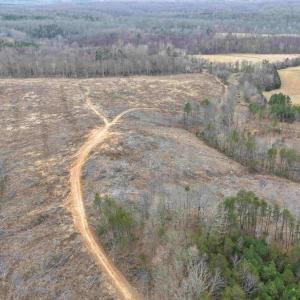 Photo #18 of WEST RIVER ROAD (RT. 6) (TRACT: JR C.B. MOON-1), SCOTTSVILLE, VA 116.0 acres