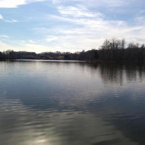 Photo #5 of 14928 DOVEY RD, SPOTSYLVANIA, VA 3.1 acres